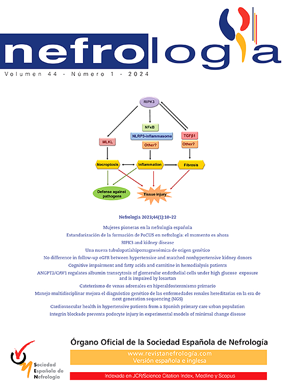 Go to journal home page - Nefrología